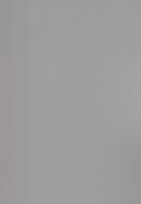 WS-6011E　単色（梨地マット調）