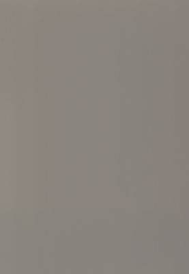 WS-6002E　単色（梨地マット調）