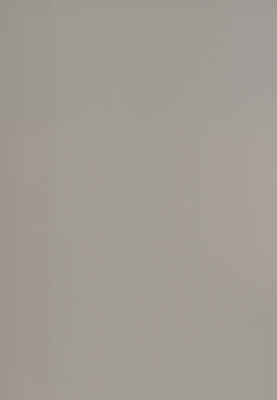 WS-6001E　単色（梨地マット調）