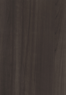 WS-5258E　マグノリア柄