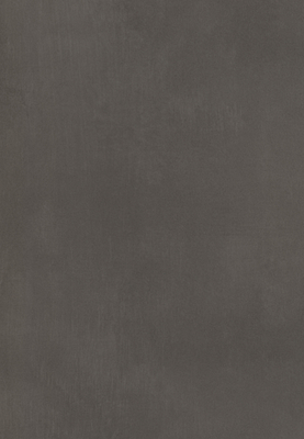 WS-9104E　ラスターフィール