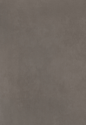 WS-9103E　ラスターフィール