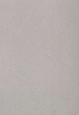 WS-9001E　フロストフィール