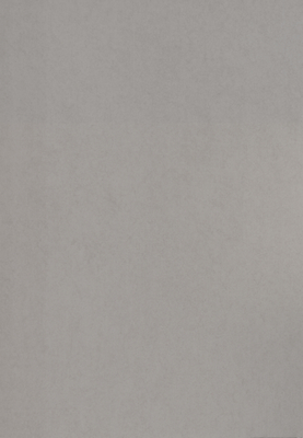 WS-9004E　フロストフィール