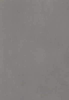 WS-9101E　ラスターフィール