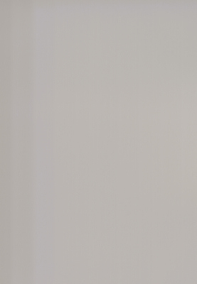 WS-6016E　単色（梨地マット調）