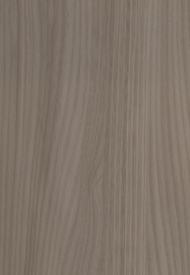 WS-5261E 　エルム柄