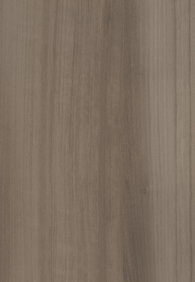 WS-5265E　マグノリア柄