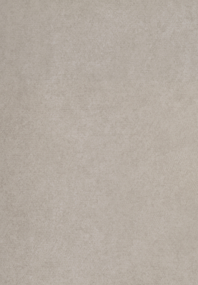 WS-9201E　エポックフィール