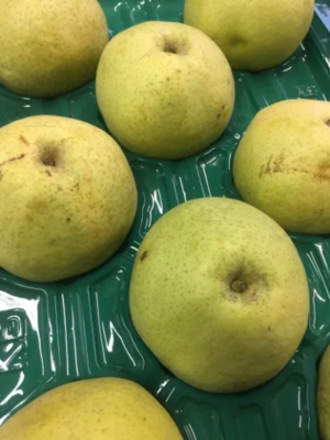 かおり | 橋本梨園