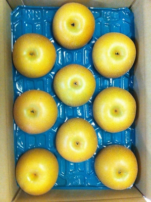 豊水 5kg