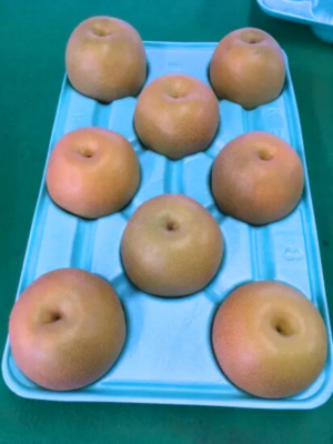 豊水 家庭用 5kg