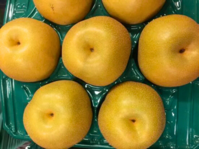 豊水 家庭用 5kg