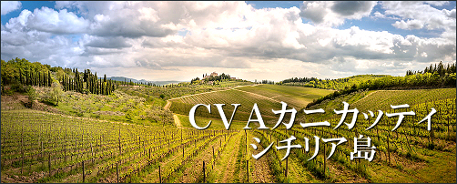 CVAカニカッティ～シチリア島～