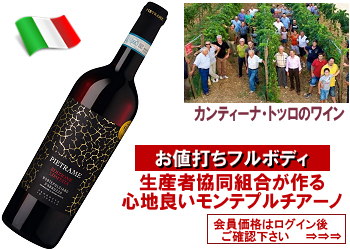 2021 カンティーナ・トッロ〈ピエトラーメ/モンテプルチアーノ