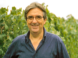 コタレッラさん