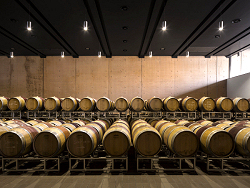 ポデルヌオーヴォの熟成セラー