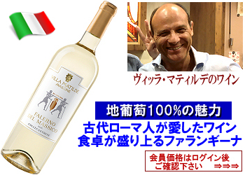 2023　ヴィッラ・マティルデ〈ファレルノ・デル・マッシコ/ビアンコ〉【白】