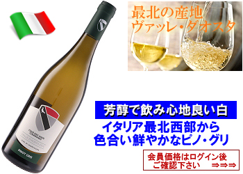 2024　カーヴ・デ・オンズ・コミュヌ〈ヴァッレ・ダオスタ/ピノ・グリ〉【白】