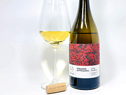 ヴェルサンテ700のテイスティング(クリック⇒拡大します)