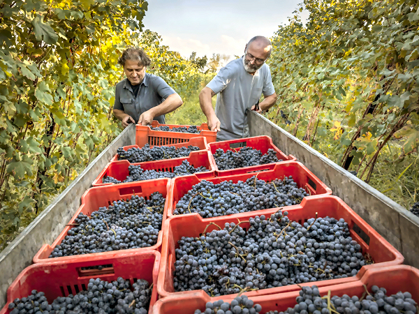 エンツォ・ボリエッティ