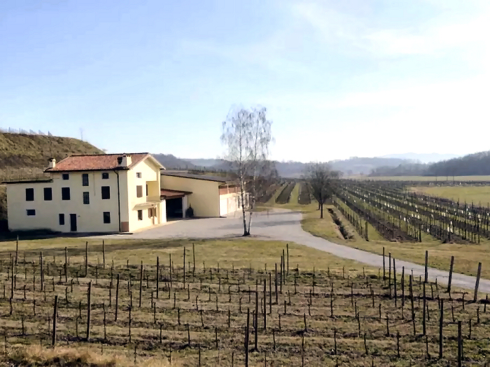 ロンコ・ブランキス