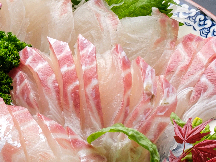 鯛刺身