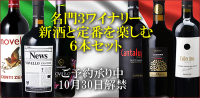 【送料無料】名門3ワイナリーの2026年産ヴィノ・ノヴェッロと定番赤（2022年産）を味わう6本セット