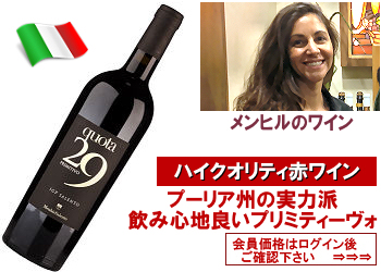 2023 メンヒル〈クォータ29/プリミティーヴォ〉【赤】 | ワイン