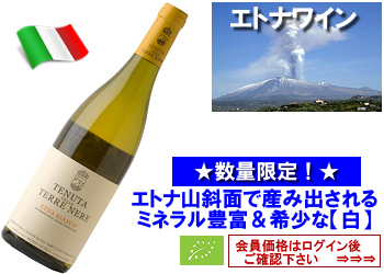 2023 テッレ・ネーレ〈エトナ・ビアンコ〉【白】 | ワイン・グローリアス