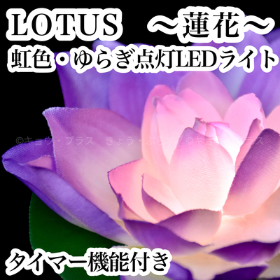 【LEDランプ】　LOTUS　～蓮花～　紫