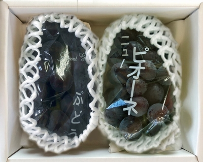 黒ブドウ　1キロ　※最終発送日は９月１５日となります}