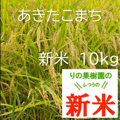 新米あきたこまち　10kg　白米　