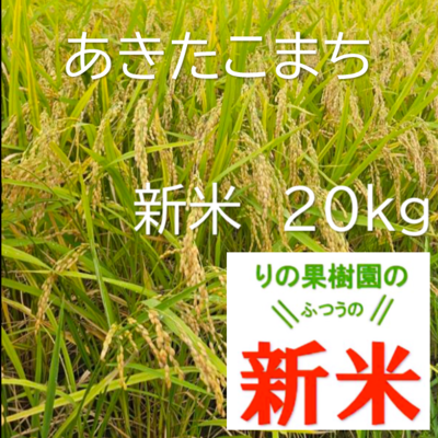 新米あきたこまち　20kg　白米　