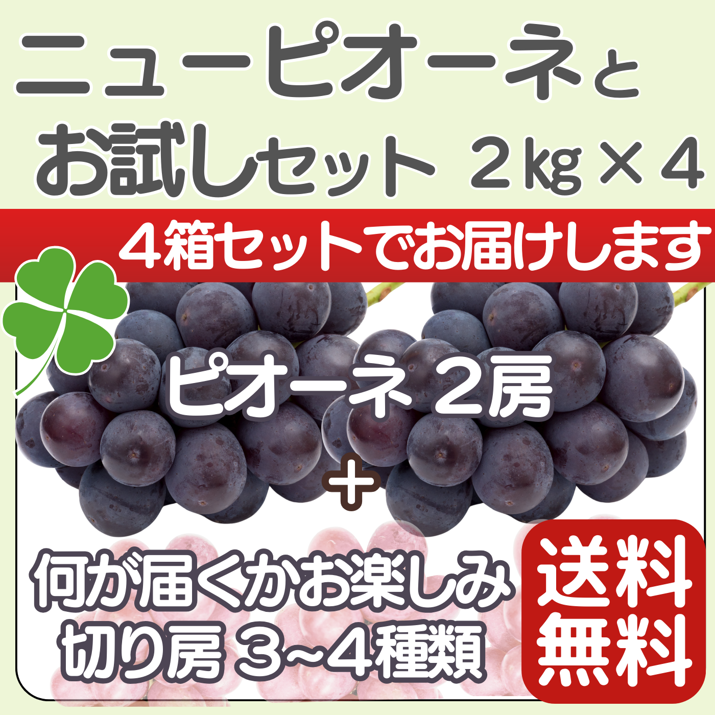 ニューピオーネとお試しセット（2kg）×4セット 岡山、てるてる