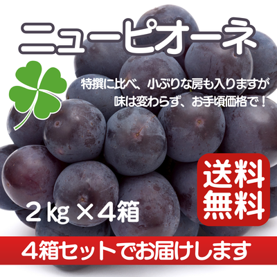 ニューピオーネ（2kg）×４セット