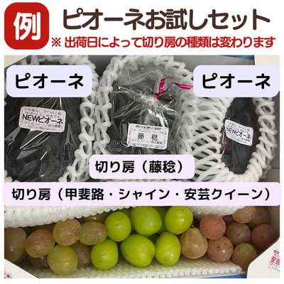 ニューピオーネとお試しセット（2kg）×4セット 岡山、てるてる