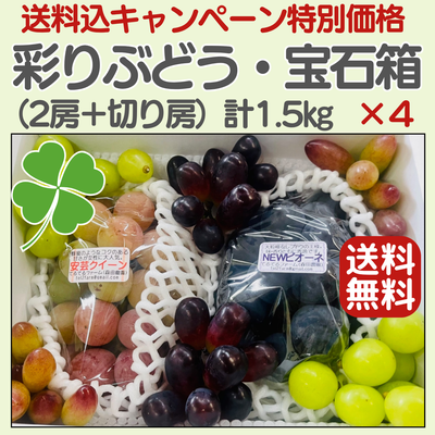 彩りぶどう・宝石箱（1.5kg）×４セット