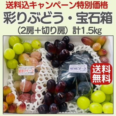 彩りぶどう・宝石箱（1.5kg）