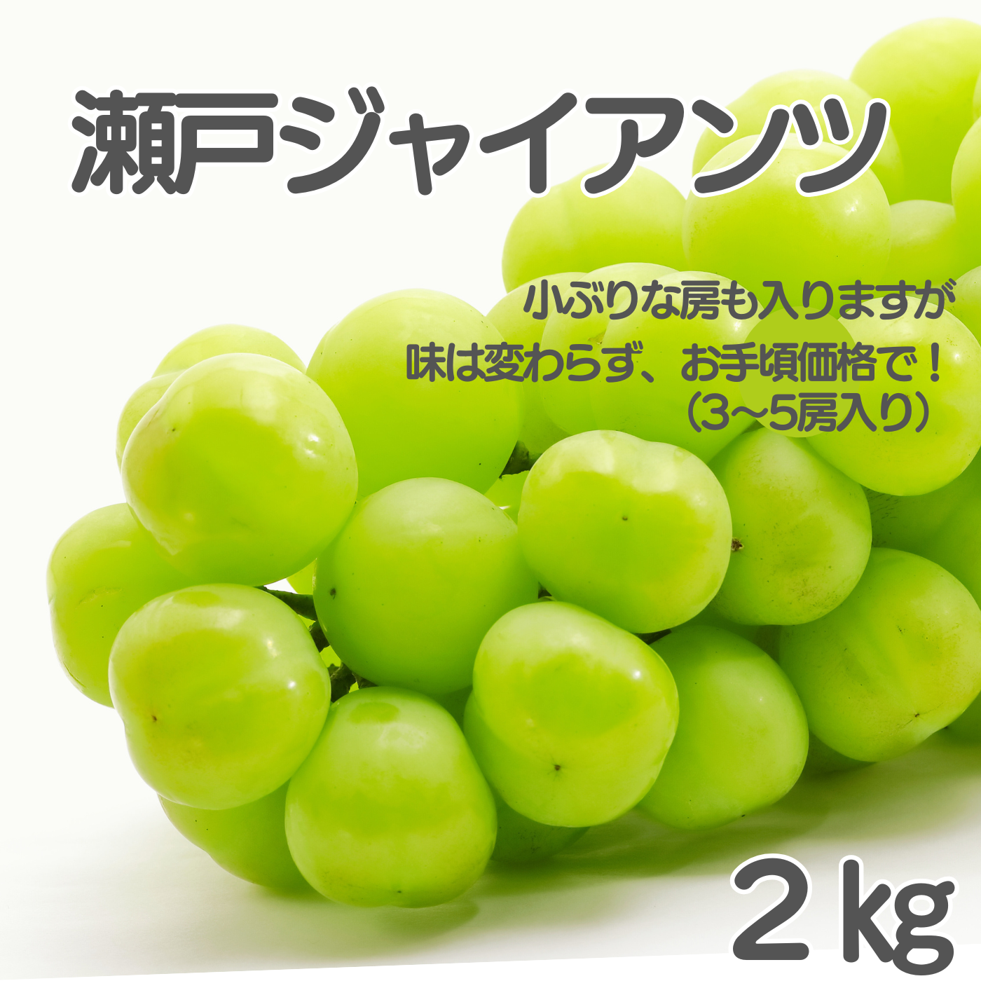 瀬戸ジャイアンツ（2kg）岡山、てるてるファーム、森田農園 | てるてる