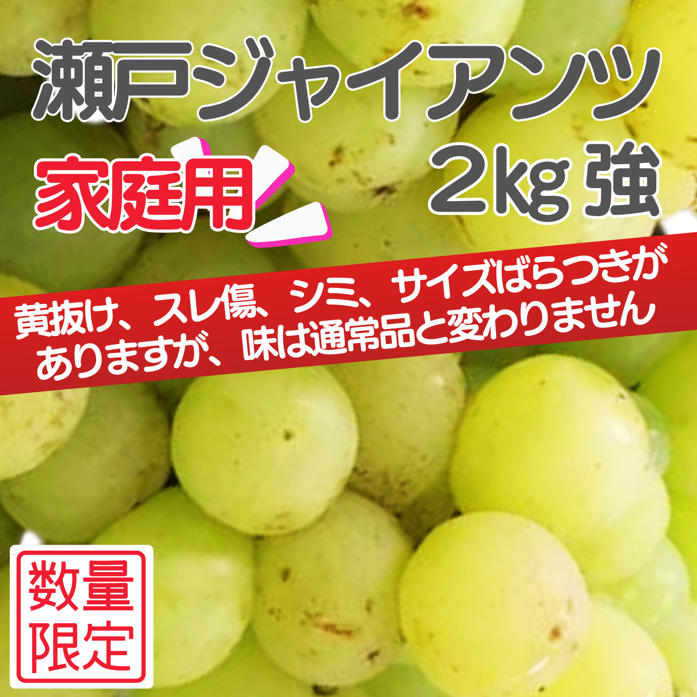 家庭用・瀬戸ジャイアンツ（2kg強）岡山、てるてるファーム、森田農園