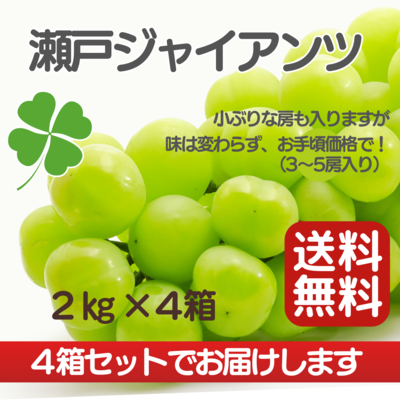 瀬戸ジャイアンツ（2kg）×４セット