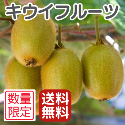 キウイフルーツ