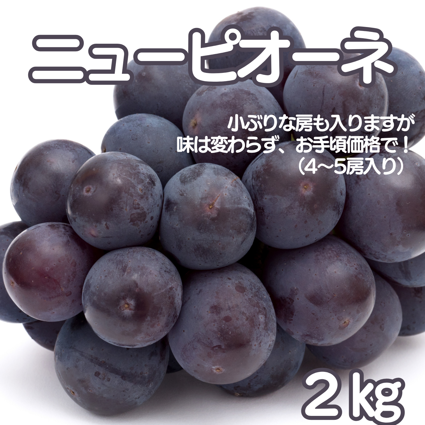 ニューピオーネ（2kg）岡山、てるてるファーム、森田農園