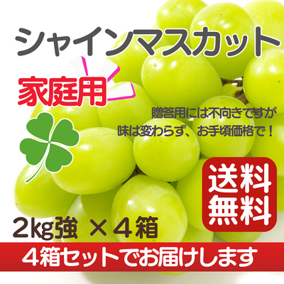 シャインマスカット家庭用（2kg強）&times;４セット