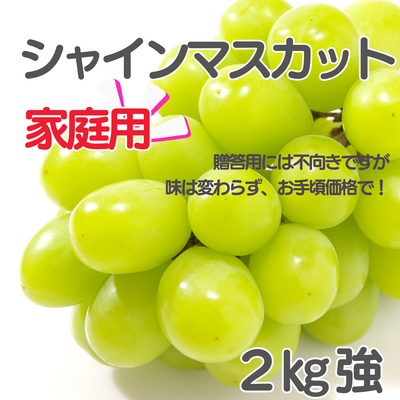 シャインマスカット家庭用（2kg強）