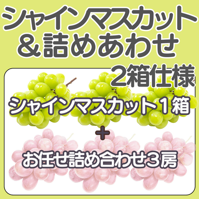  シャインマスカット＆詰めあわせ　2箱仕様&times;２セット