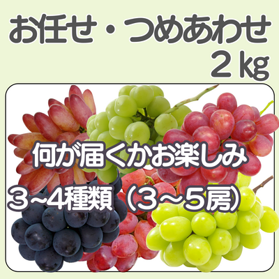 お任せ・ぶどうつめあわせ（2kg）&times;４セット