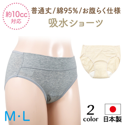 普通丈でいつもの履き心地　綿95％　お腹らく吸水ショーツ（10cc）　日本製　SS88
