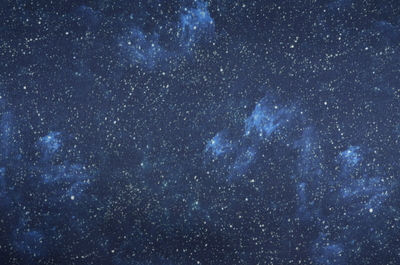 AA-39(宇宙 100% VISCOSA) 